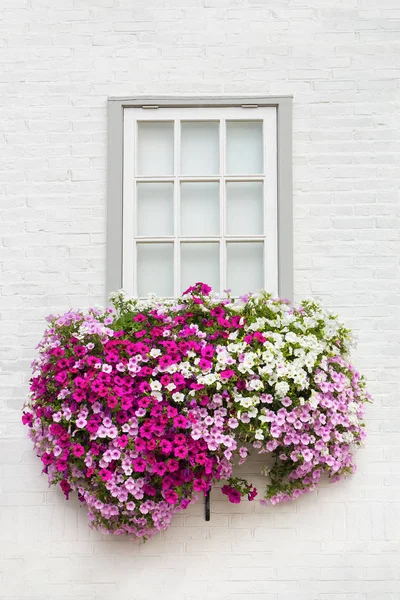 White Brick Wall One Window Flowers Flower Box — Stock Photo, Image