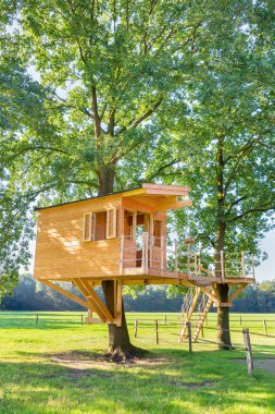 New dutch wooden tree house in tree outside clipart