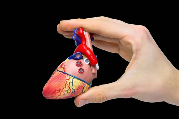 Finger halten Modell menschliches Herz auf schwarzem Hintergrund — Stockfoto