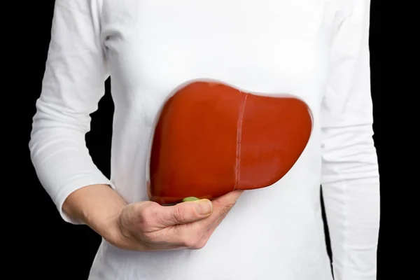 Woman holds model human liver  at white body — Stock Photo, Image
