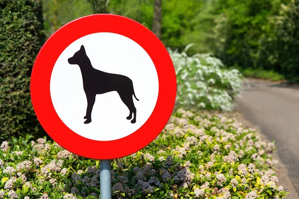 Dutch traffic sign forbidden for dogs — Stock Image Dutch traffic sign forbidden for dogs Stock Photo