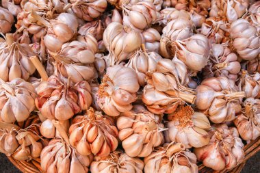 Pazarda sebze olarak birçok sarımsak soğanı