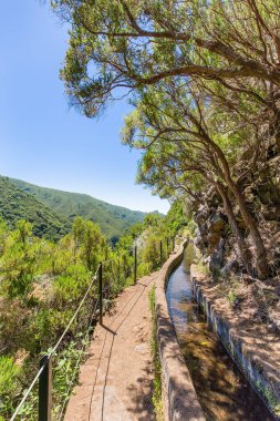 Levada ve ağaçlarla Portekiz manzarası