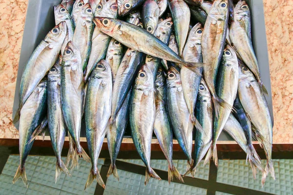 Beaucoup d'anchois entiers couchés côte à côte dans une caisse — Photo