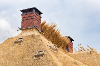 Hollanda 'da iki bacası olan yeni sazdan çatı