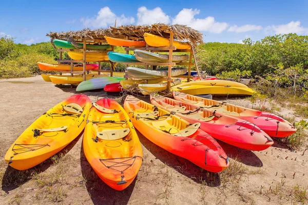 Viele Bunte Kajaks Mangrovenwald Auf Der Insel Bonaire Geparkt — Stockfoto