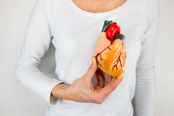 Žena Držící Model Lidského Srdce Bílém Těle — Stock fotografie