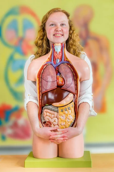 Vrouwelijke Leraar Die Het Menselijk Lichaam Met Interne Organen Vasthoudt — Stockfoto