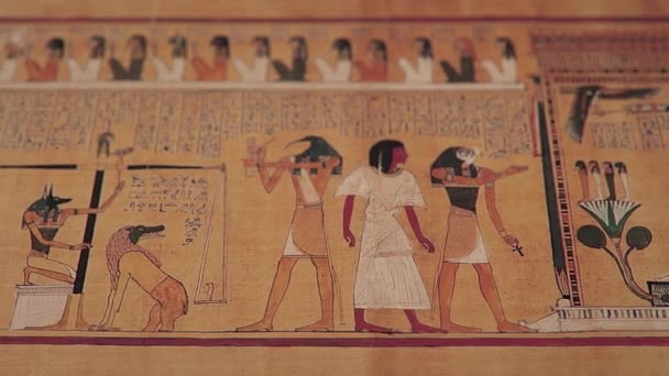 Hunefer Boek Van Doden Cgi Van Een Oude Egyptische Papyrus Stockvideo's