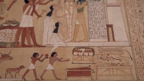 Abertura Cerimônia Boca Papiro Egípcio Antigo Papel Inclinar Tiro Profundidade — Vídeo de Stock