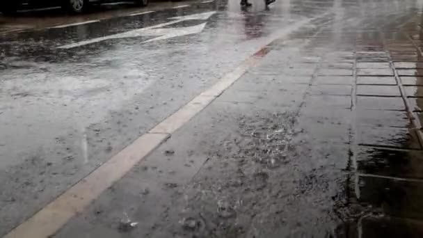 Дождь Падает Асфальт Тротуар Городе Делая Лужи — стоковое видео