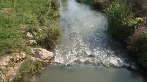 Pohled Shora Vody Tekoucí Řeky Odrazky Pod Slunečními Paprsky Vegetací — Stock video