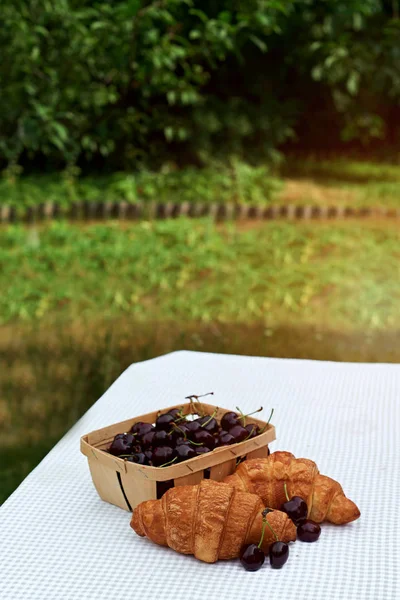 Ripe Cherries Basket Croissants Table Spring Garden — Stock Photo, Image