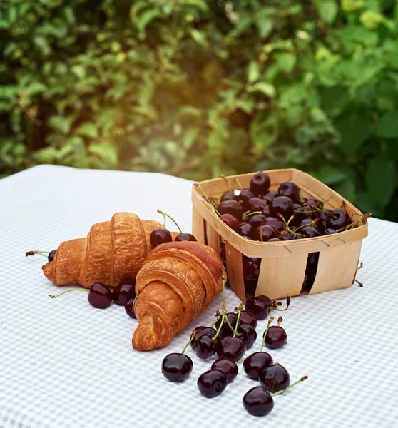 Ripe Cherries Basket Croissants Table Spring Garden — Stock Photo, Image