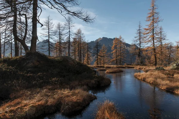 Göllü sonbahar ormanı. Güzel seyahat ve tatil yeri. Güzel renkler. Tessin, İsviçre'de bir göl.