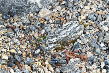 Göl kenarında renkli taşlar