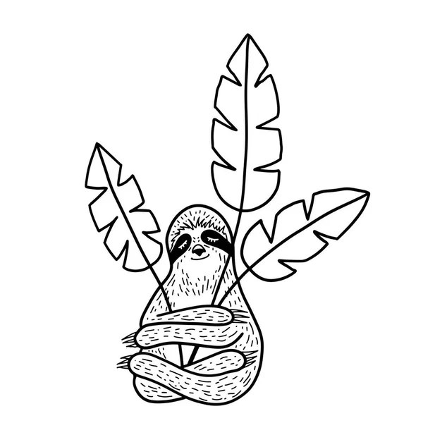Sevimli el tembel uyku ve sarılma troplical yaprakları çizilmiş. Anahat doodle tarzı. Vektör çizimi