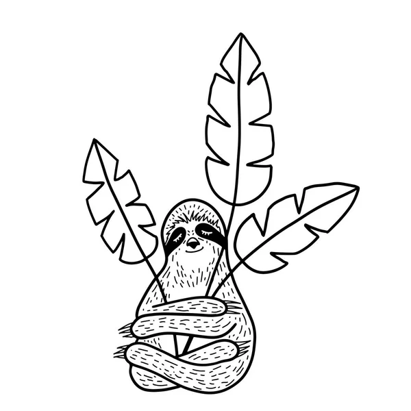 Lindo perezoso dibujado a mano durmiendo y abrazando hojas troplicales. Esquema de estilo garabato. Ilustración vectorial — Vector de stock