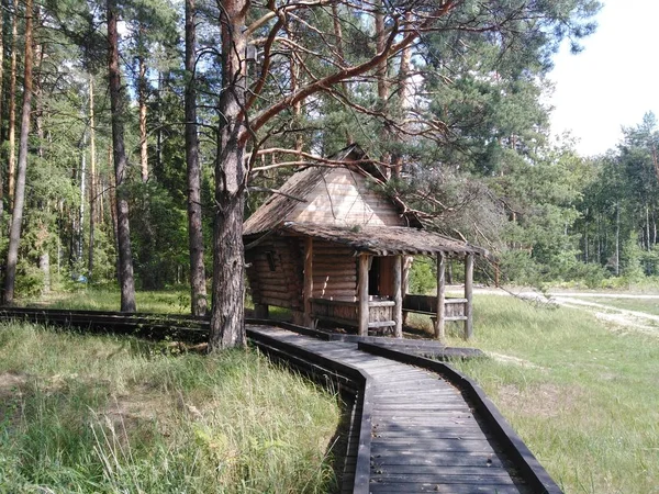 Haus Des Russischen Märchens — Stockfoto