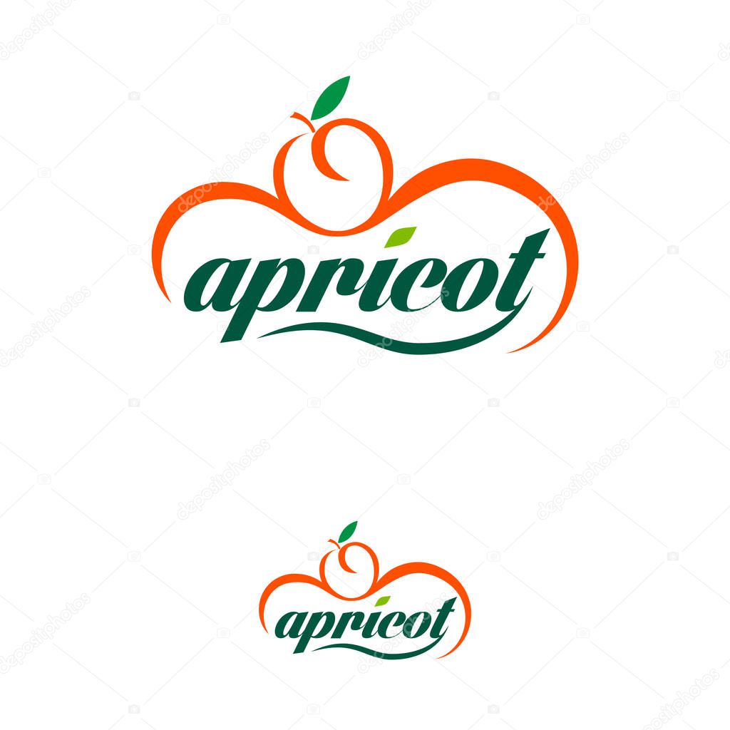Modern Apricot Logo Design Template