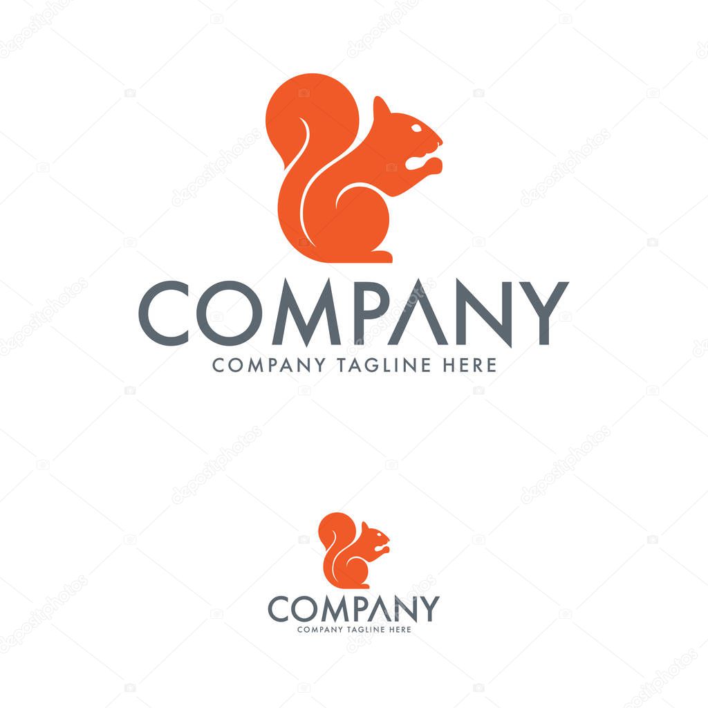 Creative squirrel logo design template