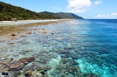 Kri Adası, Raja Ampat, güney-doğu Asya kıyılarında mavi ve berrak su altında Mercan resifi.