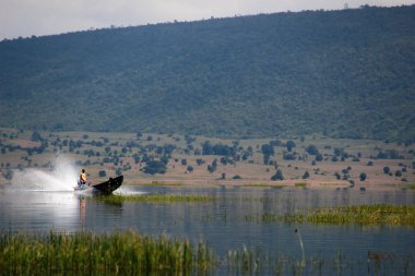 Inle Gölü'ndeki su bitkileri arasında seyir halinde olan balıkçı teknesi, Myanmar/Birma.