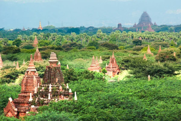 Picos de viejos templos budistas entre árboles en Bagan, Myanmar / Birmania . —  Fotos de Stock