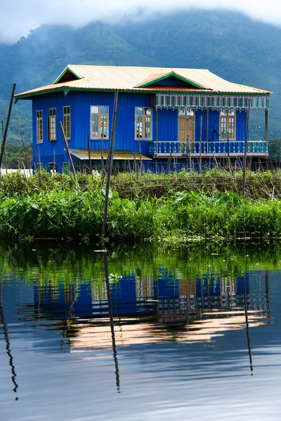 Blue wooden house over green grass on the mirroring Lake Inle in Myanmar/Birma.