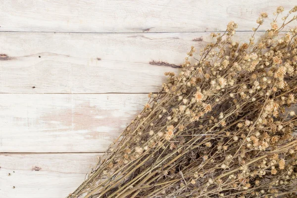 ahşap üzerinde kuru çiçekler