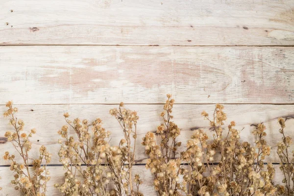 ahşap üzerinde kuru çiçekler