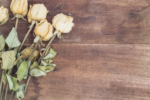 Kurutulmuş beyaz güller