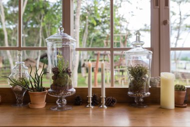 A indoor cactus plants in a glass jar inside a restaurant. clipart