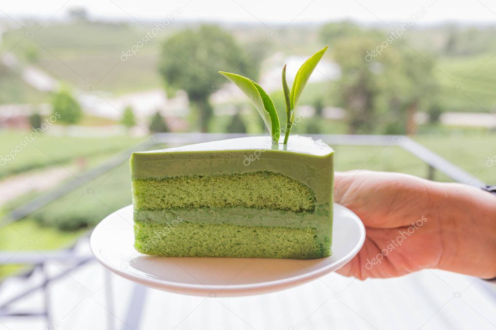 Close up slice of green tea cake on white dish