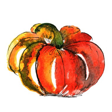 Cadılar Bayramı ve Sonbahar için suluboya kabak. Beyaz arka planda yalıtılmış nesne. Parlak çizim