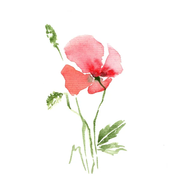 Czerwony Kwiat Maku Białym Tle Malarstwo Akwarelowe Dekoracyjne Stylowe — Zdjęcie stockowe