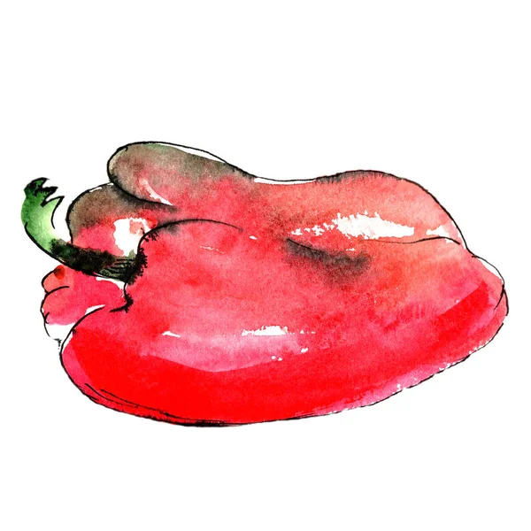 Rote Paprika Aquarell Illustration Auf Weißem Hintergrund — Stockfoto
