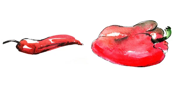 Süße Bulgarische Und Bittere Chilischoten Paprika Und Chili Isoliert Auf — Stockfoto