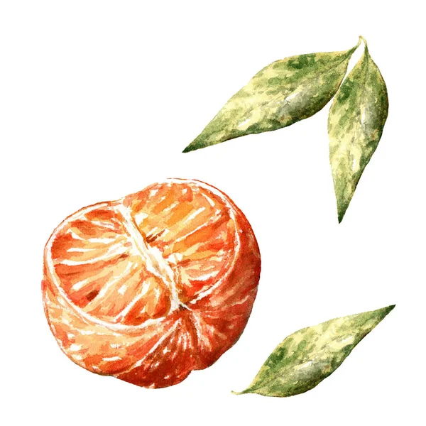 Set Aus Geschälten Mandarinen Und Grünen Blättern Isoliert Auf Weißem — Stockfoto