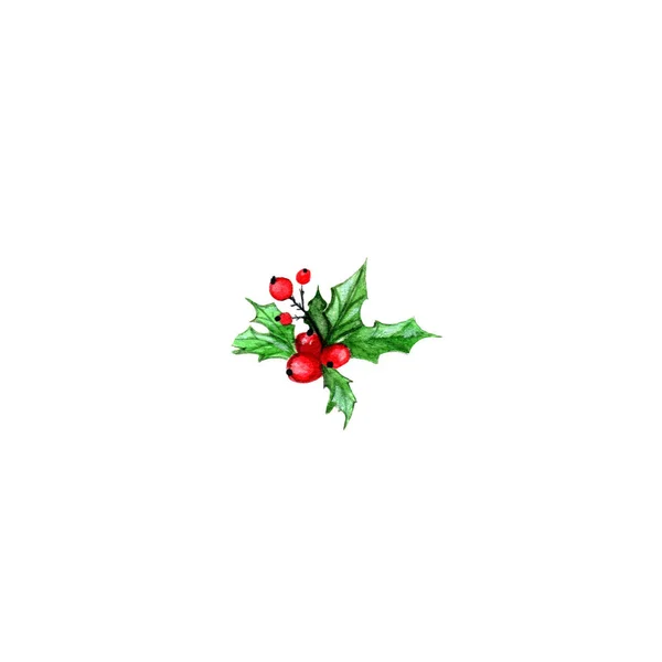 Акварельная Иллюстрация Зеленого Падуба Красными Ягодами Выделенными Белом Фоне Рождественский — стоковое фото