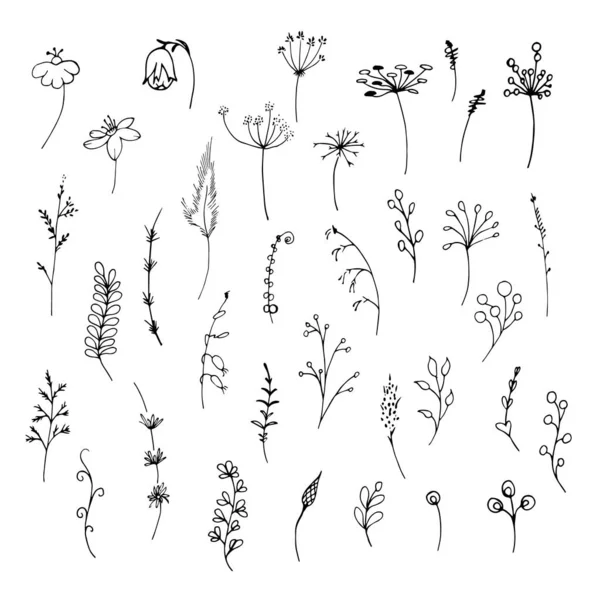 Yapımı Yaz Bitkileri Karalama Çiçeği Elementleri Koleksiyonu Siyah Siluet Bahar — Stok Vektör