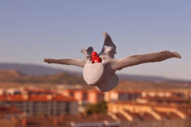 Kırmızı bir yardım eli takan bir sığırın uçtuğu bir ineğin lomvertebrası.