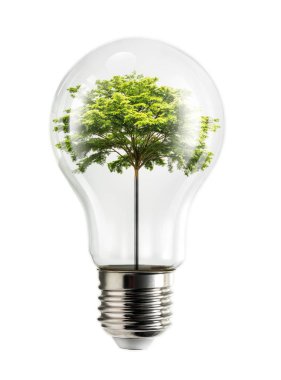 Ağaç malzeme iç elektrik ampuller yenilenebilir doğal enerji kırpma yolu ile beyaz arka plan üzerinde izole kavramı