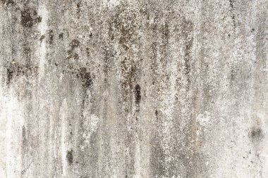 Grunge beton duvar