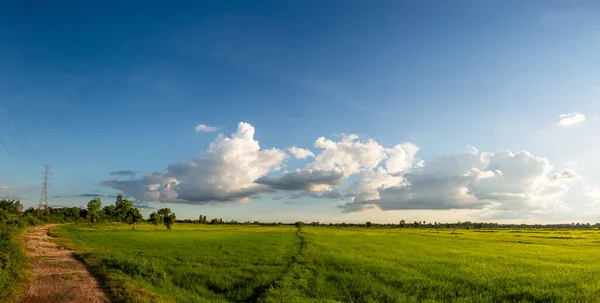 Grasland Met Onverharde Weg Landelijke Scène Blauwe Lucht Achtergrond — Stockfoto