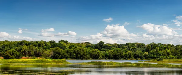 Beautiful Rural Scene Forest Pond Blue Sky Background — Stock Photo, Image