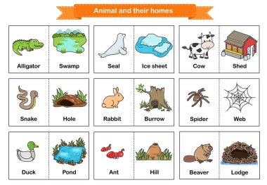 Hayvanlar ve Evleri Flaş Kartları. Resmedilmiş basılabilir hafıza kartı. - Eğitim için flashcards.