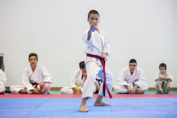 Vila Nova Gaia Portugal Noviembre 2017 Evento Karate Campeonato Celebración — Foto de Stock