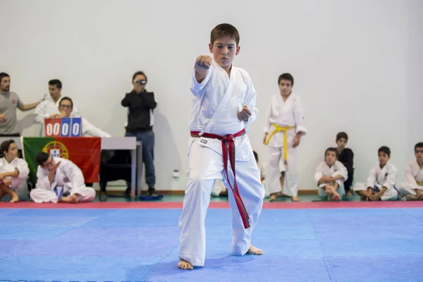 Vila Nova Gaia Portugalsko Listopadu 2017 Karate Akce Slavnostní Mistrovství — Stock fotografie