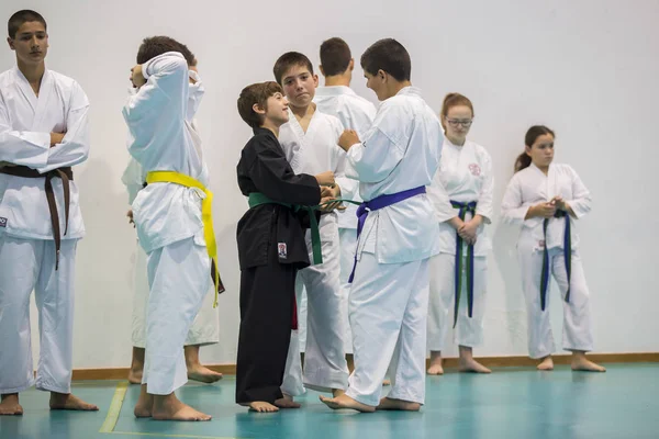 Vila Nova Gaia Portugalia Noiembrie 2017 Eveniment Karate Campionat Sărbătoare — Fotografie, imagine de stoc